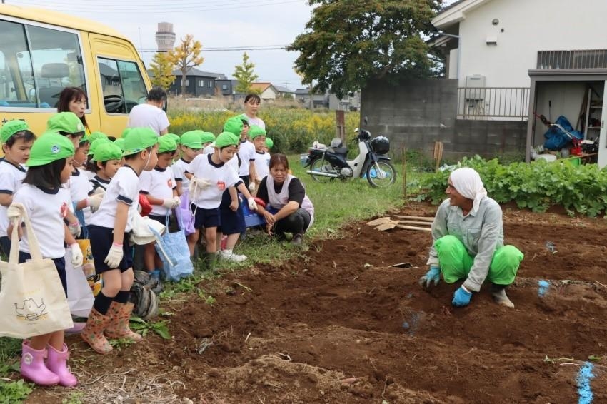 年長組・おいもほり