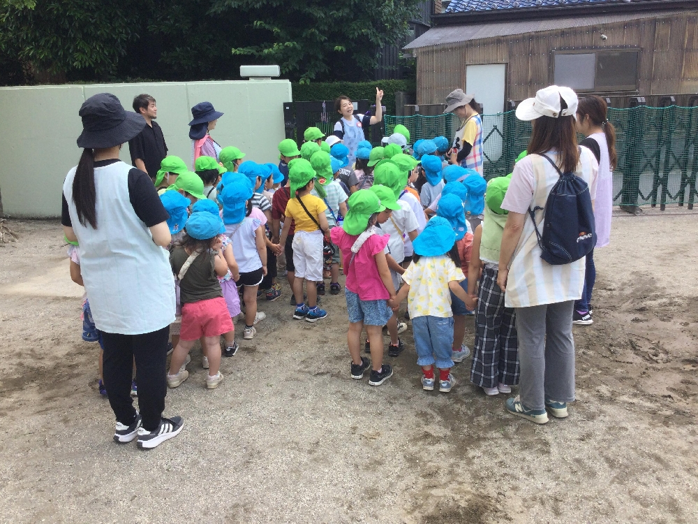 年中組・年長組　おさんぽ