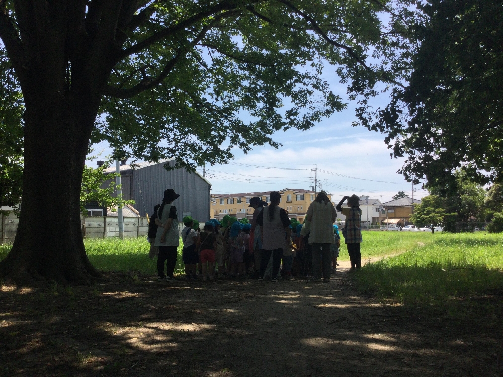 年中組・年長組　公園あそび